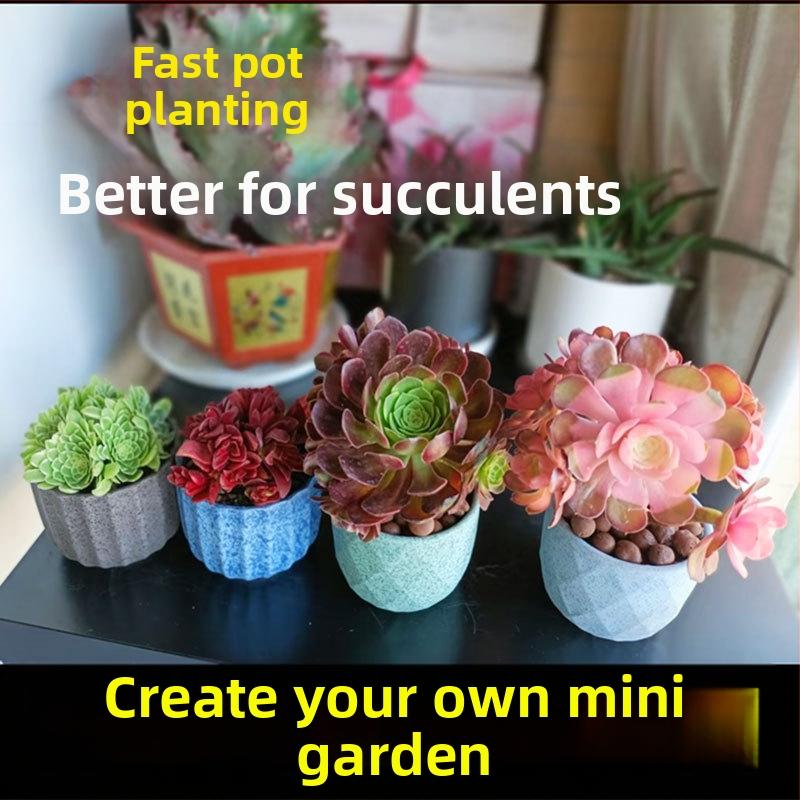 Сукулентова керамична саксия, дишаща и устойчива, изпичана при висока температура, настолен или подов монтаж