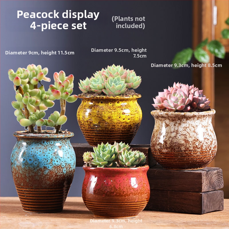 Keraminis vazonėlis sukulentams, kvėpuojantis ir tvirtas, aukštatemperatūroje degintas, staliniam ar grindų naudojimui