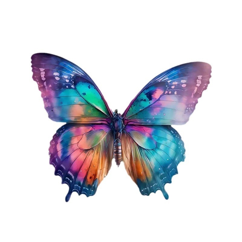 Autonomy akrilinė vidaus automobilio dekoracija su pritaikymu – paprastas stilius, vidaus apdaila