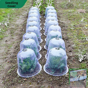 Izoliuotos skaidri dangtelius vaisiams ir daržovėms, 3 dalių plastikinė komplektacija, apsauga nuo šalčio ir paukščių