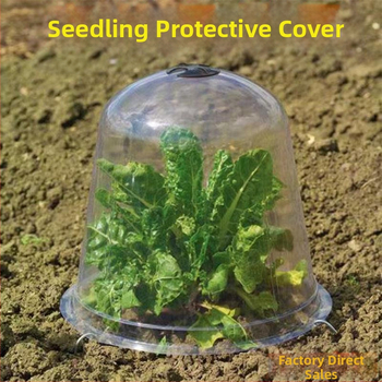 Izoliuotos skaidri dangtelius vaisiams ir daržovėms, 3 dalių plastikinė komplektacija, apsauga nuo šalčio ir paukščių
