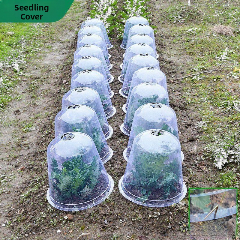 Izoliuotos skaidri dangtelius vaisiams ir daržovėms, 3 dalių plastikinė komplektacija, apsauga nuo šalčio ir paukščių