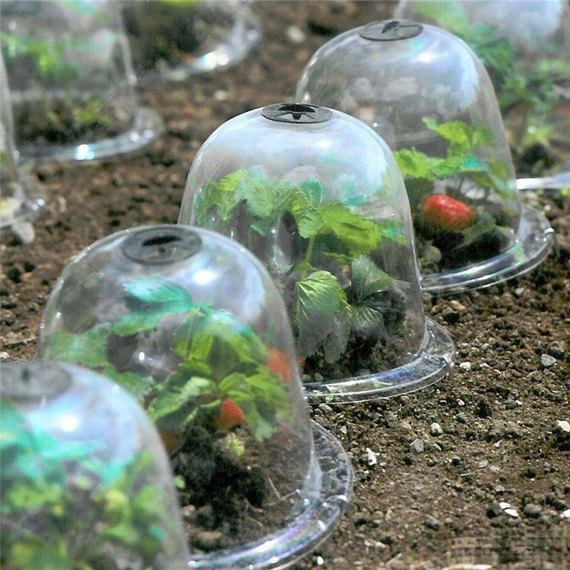 Izoliuotos skaidri dangtelius vaisiams ir daržovėms, 3 dalių plastikinė komplektacija, apsauga nuo šalčio ir paukščių