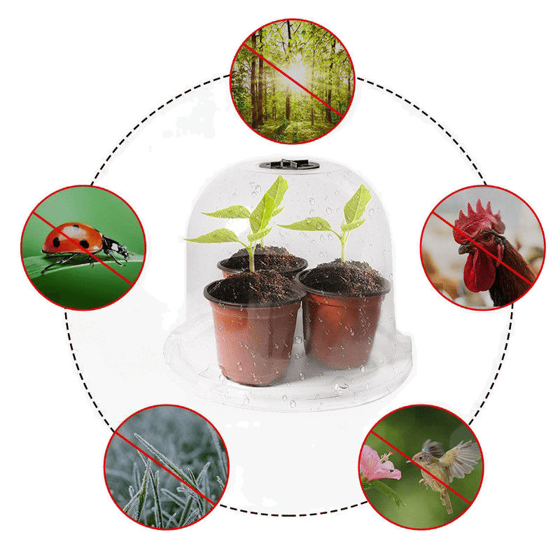 Izoliuotos skaidri dangtelius vaisiams ir daržovėms, 3 dalių plastikinė komplektacija, apsauga nuo šalčio ir paukščių