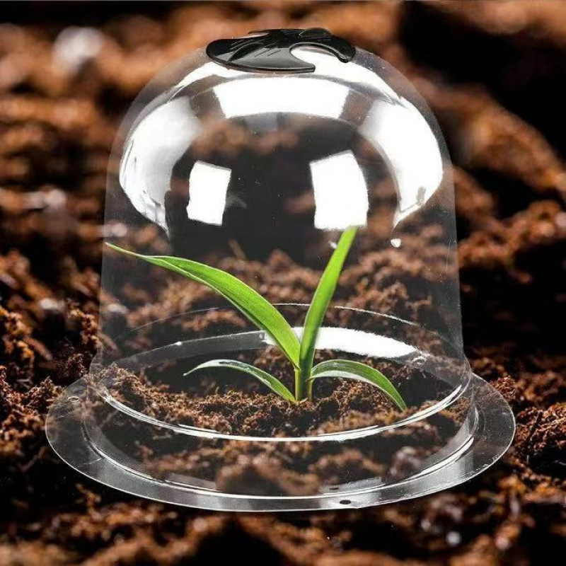 Izoliuotos skaidri dangtelius vaisiams ir daržovėms, 3 dalių plastikinė komplektacija, apsauga nuo šalčio ir paukščių