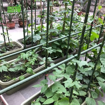 Κηπουρικός στύλος με πλαστικοποιημένο χάλυβα σωλήνα για ράφι φυτών