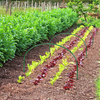 Γωνιακό στηρίγμα θερμοκηπίου με πλαστικό επίχρισμα για αψιδωτές σκελετούς (υλικό: σωλήνας από σίδηρο με πλαστικό επίχρισμα; μάρκα: Deyihe; εφαρμογές: κηπουρική, αίθουσες φύτευσης, θερμαινόμενοι χώροι, θερμοκήπιο)
