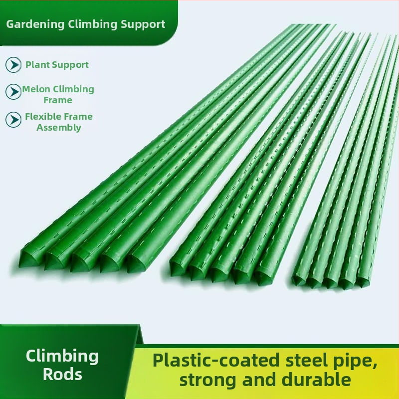 Bară de susținere din oțel inoxidabil pentru plante cățărătoare — suport exterior pentru flori pentru grădină de acasă