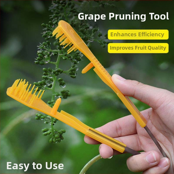 Vynuogių žiedynų retinimo klipas vaisiniams medžiams