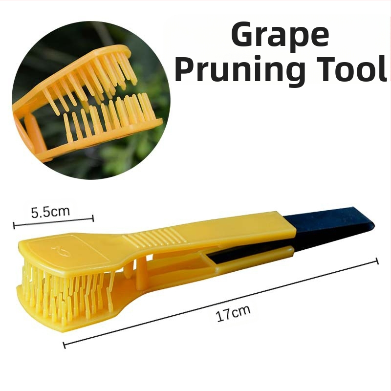 Vynuogių žiedynų retinimo klipas vaisiniams medžiams