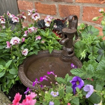 Europos stiliaus ketaus lesyklėlė paukščiams su dekoratyvine saugojimo plokštele (Medžiaga: ketaus; Stilius: Europos; Panaudojimas: paukščių lesinimas; Funkcija: dekoratyvinė / saugojimas)