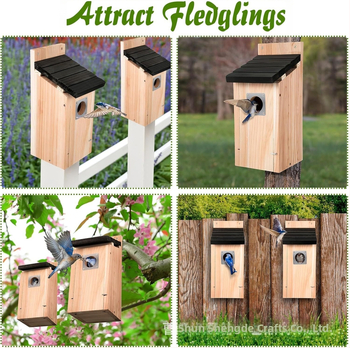 Ξύλινο εξωτερικό κρεμαστό σπίτι για πουλιά και τροφοδότης – Κλουβί αναπαραγωγής Καρδινάλιου