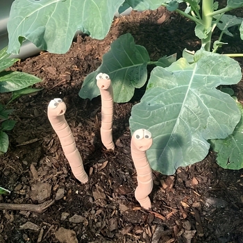 Μόνιτορ υγρασίας για τη σειρά άρδευσης με σταγόνες σε γλάστρες - Μάρκα: Good luck - Υλικό: Άλλο