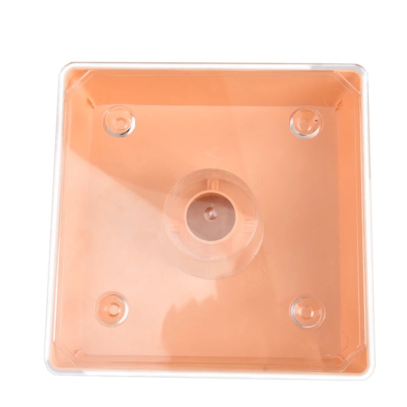 Пчеларски инструменти: квадратен хранилник за пчели, европейски стил, върху кошера, хранилник за вода