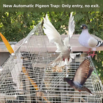 Balandžių narvas, cinkuotas, nerūdijantis, sulankstomas, nešiojamas