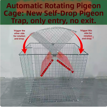 Balandžių narvas, cinkuotas, nerūdijantis, sulankstomas, nešiojamas