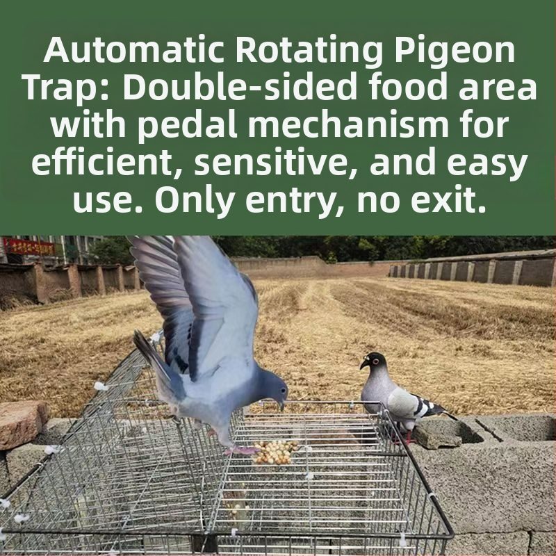 Balandžių narvas, cinkuotas, nerūdijantis, sulankstomas, nešiojamas