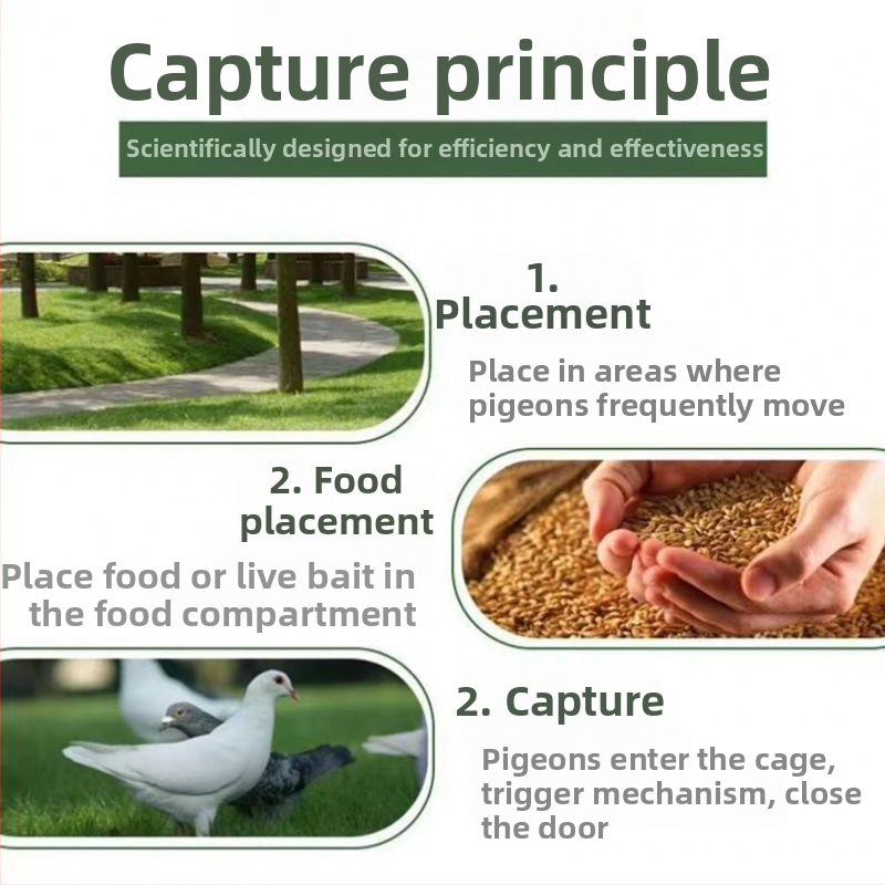 Balandžių narvas, cinkuotas, nerūdijantis, sulankstomas, nešiojamas