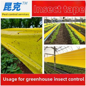 Κολλητική ζώνη εντόμων, Kunkel, PE υλικό, για φυσική σύλληψη εντόμων, πράσινη διαχείριση παρασίτων
