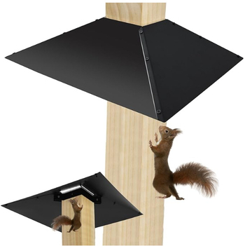 Μεταλλικό αντι-σκίουρος φράγμα για τροφοδότες πουλιών PO-2549, βαμμένο με πούδρα, Sharp work