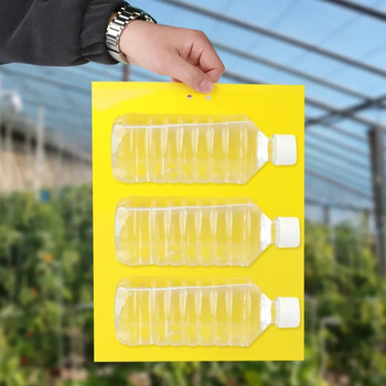 Dviviejų pusių lipni vabzdžių gaudyklė: vaisių musių, lervų ir tripsų gaudymui šiltnamiuose (Medžiaga: Kita, Apdirbimas: Kita, Tipas: Kita, Prekės ženklas: Kita)