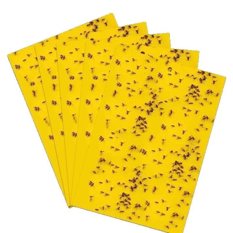 Dviviejų pusių lipni vabzdžių gaudyklė: vaisių musių, lervų ir tripsų gaudymui šiltnamiuose (Medžiaga: Kita, Apdirbimas: Kita, Tipas: Kita, Prekės ženklas: Kita)