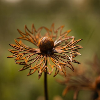 Μεταλλικό διακοσμητικό κήπου με μοτίβο Κορνφλάουερ για φυτά — Αγροτικό στυλ, Κωδ. 20250419