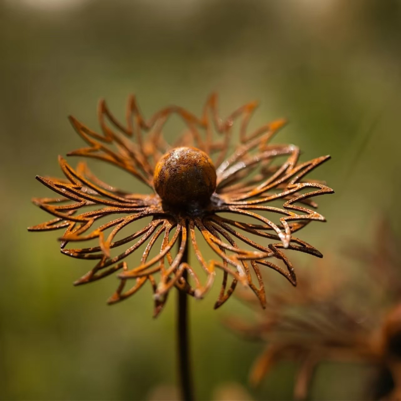 Geležinis sodo dekoras su Cornflower motyvu augalams — pastoralinis stilius, kodas 20250419