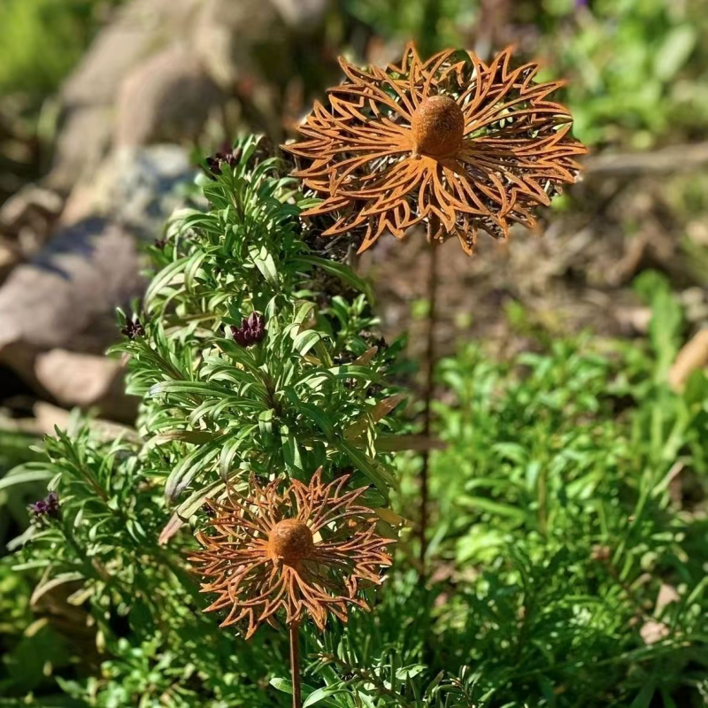 Geležinis sodo dekoras su Cornflower motyvu augalams — pastoralinis stilius, kodas 20250419