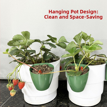 Πλαστικό κύπελλο αναπαραγωγής για φράουλες, διαπερατό κύπελλο μεταφύτευσης για θερμοκήπιο