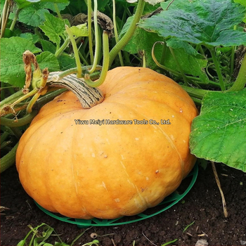 Πλαστική βάση φύτευσης φρούτων με αεριζόμενη σταθεροποιητική ράγα για καρπούς