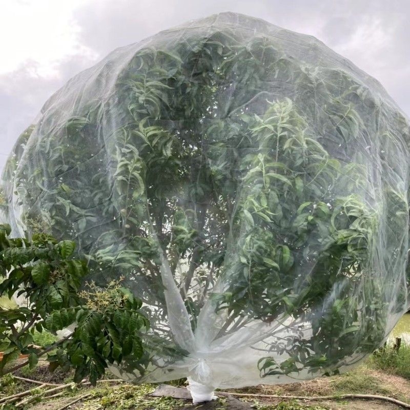 Vaismedžių kenkėjų apsauginė tinklas šiltnamiams ir balkonams; apsauga nuo kenkėjų ir paukščių (Medžiaga: Kitas; Angos matmenys: Kiti elementai; Vielos skersmuo: Kitasmmmmmm; Tarnavimo laikas: Kiti, kasmet)