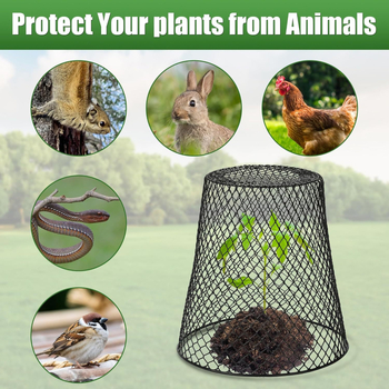 Σιδερένιο προστατευτικό κάλυμμα φυτών σε γλάστρες — προστατευτικό κλουβί για δενδρύλλια, κηπουρική, μάρκα Mino