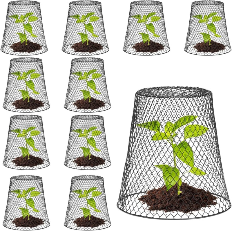 Vasból készült növényvédő védőháló cserépben ültetett növényekhez — védő ketrec kertészeti felhasználásra, Mino márka