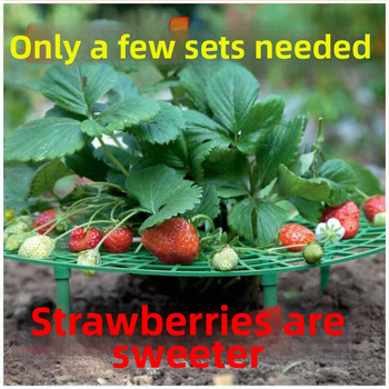 Ράφι γλαστρών – Πλαστικό; Επιδαπέδιο; Παραδοσιακό αγροτικό στυλ; Για οικιακή κηπουρική