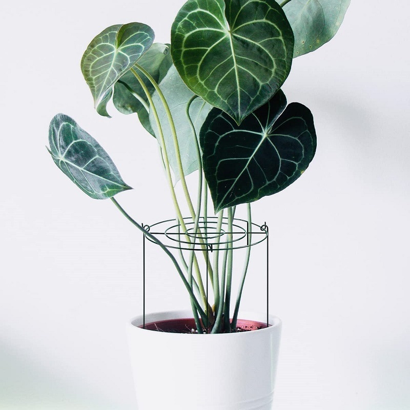 Kerti futókeret növényekhez vas hálózatos támasztóval, padlón álló virágtartó állvány