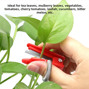 Μαχαίρι συγκομιδής λαχανικών και φρούτων για φασόλια, αγγούρια και σταφύλια, με άκρη πίεσης δακτύλου