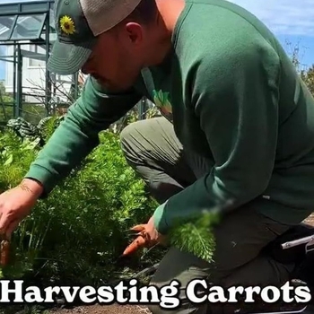 Μαξιλαράκια γονάτων από ανοξείδωτο ατσάλι – εργονομικός σχεδιασμός εξοικονομεί προσπάθεια, καθολική εφαρμογή, προστασία γόνατος