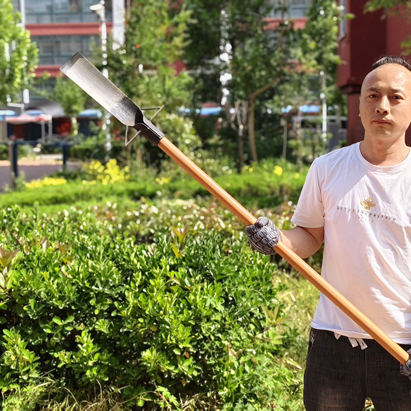 Medžių kasimui kastuvas, Luoyango kastuvas, manganų plienas, peilio storis 6 mm
