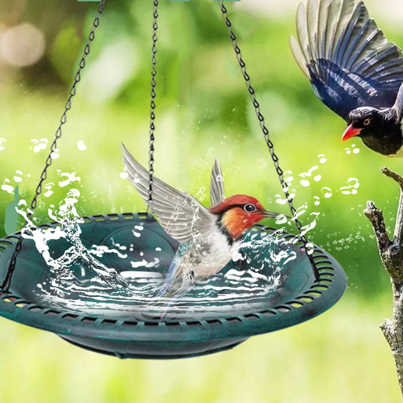 Išorinė paukščių lesyklėlė - Ak166; Importas: Ne; Rūšis: Paukštis; Amžius: Suaugęs