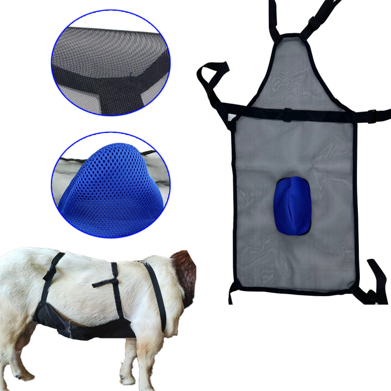 Διχτυωτός ιμάντας κοιλιάς για πρόβατα, βοοειδή και άλογα – αναπνεύσιμος σχεδιασμός, αποτροπή ανεπιθύμητου ζευγαρώματος