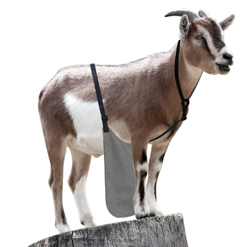 Ποδιά αντιζευγαρώματος για πρόβατα και κατσίκες, καμβάς, Leboy