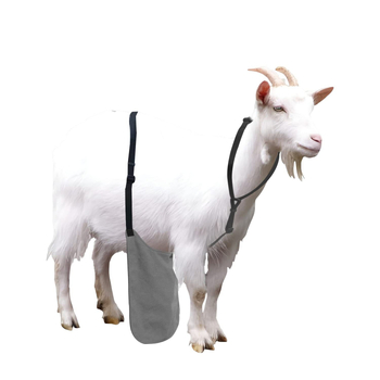 Ποδιά αντιζευγαρώματος για πρόβατα και κατσίκες, καμβάς, Leboy