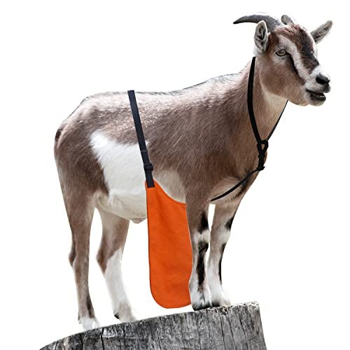 Ποδιά αντιζευγαρώματος για πρόβατα και κατσίκες, καμβάς, Leboy