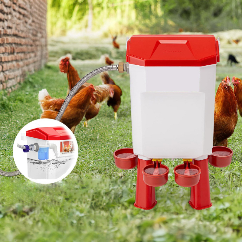 Automatinis vandens girdytuvas paukščiams su atskira talpykla – girdymo ir šėrimo įrenginys vištoms, žąsoms, balandžiams, modelis ZZKPJ00035, 1600 g