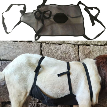 Bandă abdominală pentru oi – protecție anti-împerechere | poliester, tip cadru, OEM