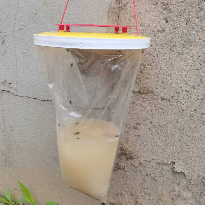 Mušų gaudyklė HF-B02, PP medžiaga, nekenksminga, su masalu, 100 vnt dėžutėje