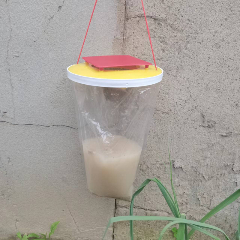 Mušų gaudyklė HF-B02, PP medžiaga, nekenksminga, su masalu, 100 vnt dėžutėje