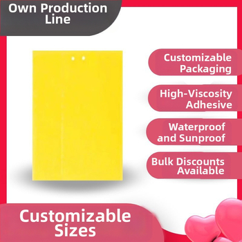 Φυσικός έλεγχος παρασίτων | Πίνακας κολλημένων εντόμων | (Τύπος: Φυσικός έλεγχος παρασίτων; Υλικό: PP πλαστικό πάνελ; Σκοπός: Κολλημένα έντομα; Μάρκα: Άλλες)