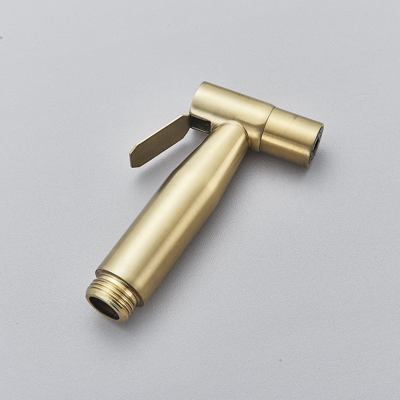 Tualeto bidė purkštuvų Booster, nerūdijantis plienas, sieninis montavimas, 1.6 MPa, 80°C